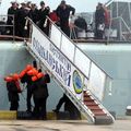 Попугай С Полинезийской Пропиской 4 Буквы - кроссворд Полинезийский попугай сканворд 4 буквы слово