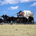 Телега 7 букв. Конная повозка 7 букв. Крытый экипаж повозка 7 букв. Повозка цыган 7 букв. Крытый экипаж 7 букв.