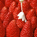 Лесная ягода.