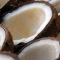 Ядро кокосового ореха - слово из 5 букв в ответах на сканворды, кроссворды