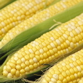 КУКУРУЗА