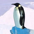 ПИНГВИН