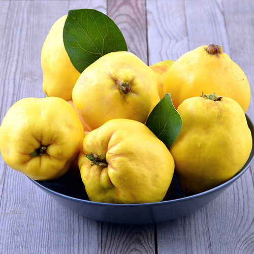 Южный фрукт с запахом земляники и ананаса 6 букв ответ