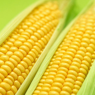 КУКУРУЗА
