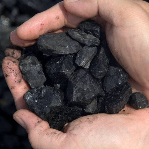 Разновидность каменного угля